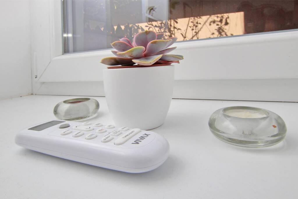 Morich Apartment In The Heart Of Old Town With Garden SJJ Extérieur photo